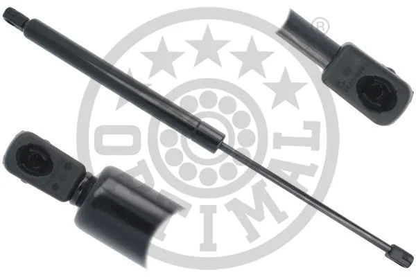 Gas Spring, boot/cargo area (AG-52138)