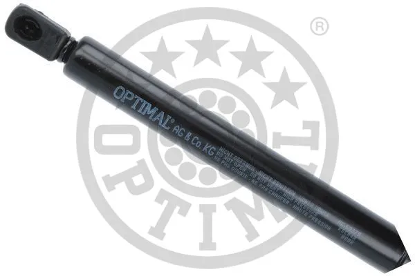 Gas Spring, boot/cargo area