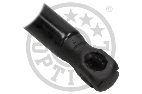 Gas Spring, boot/cargo area