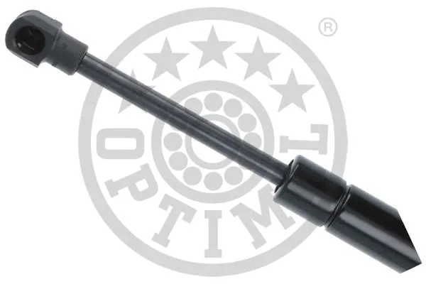 Gas Spring, boot/cargo area