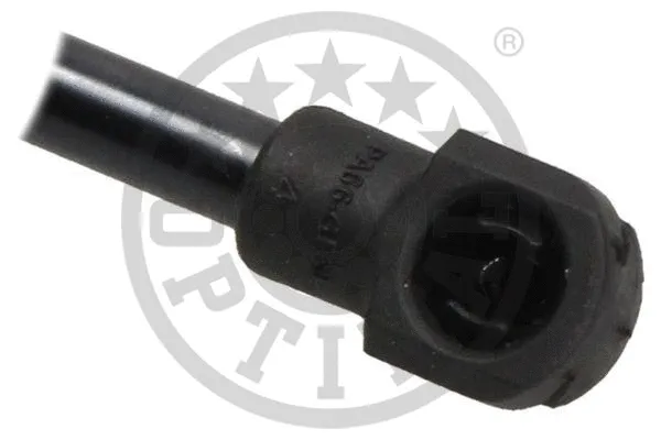 Gas Spring, boot/cargo area
