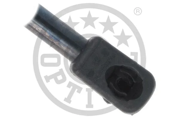 Gas Spring, boot/cargo area