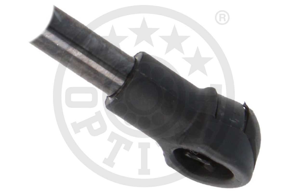 Gas Spring, boot/cargo area