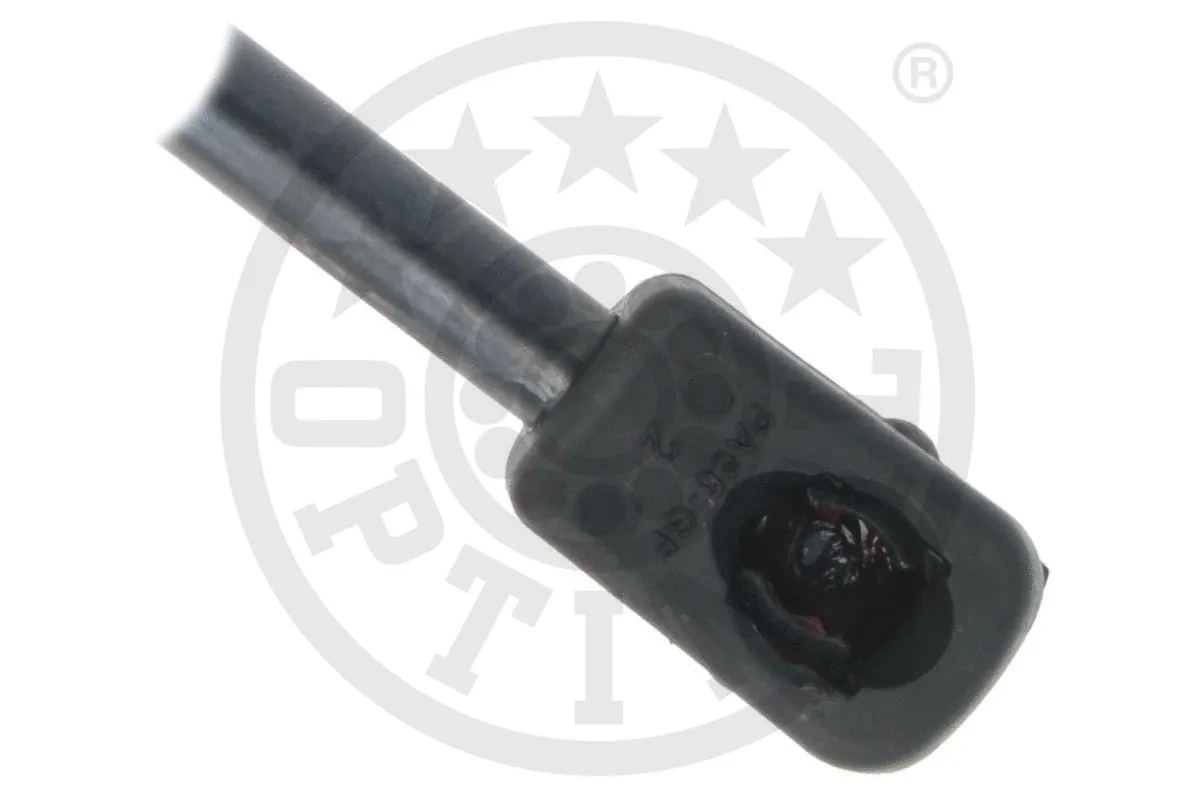 Gas Spring, boot/cargo area