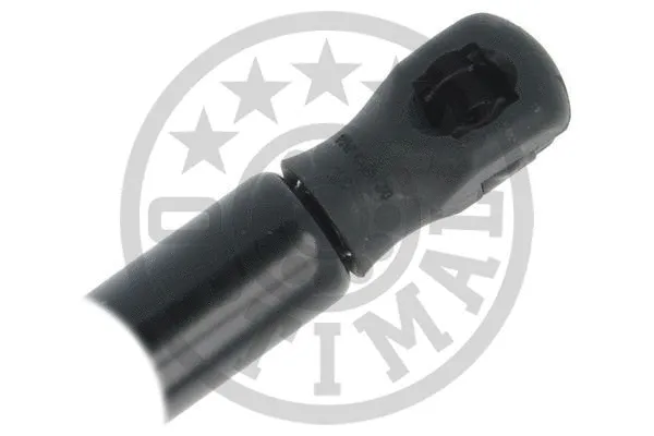 Gas Spring, boot/cargo area