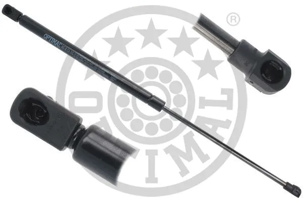 Gas Spring, boot/cargo area (AG-51338)
