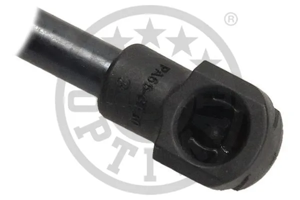 Gas Spring, boot/cargo area