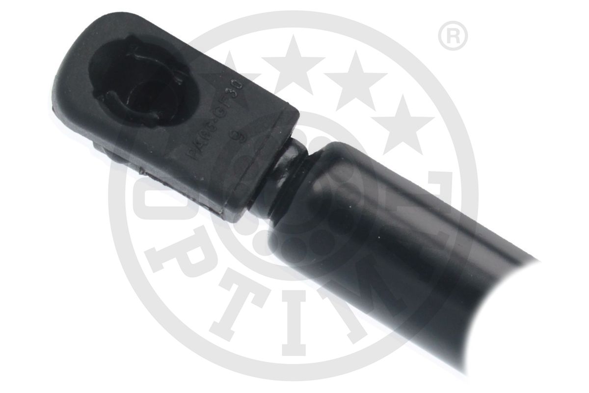 Gas Spring, boot/cargo area