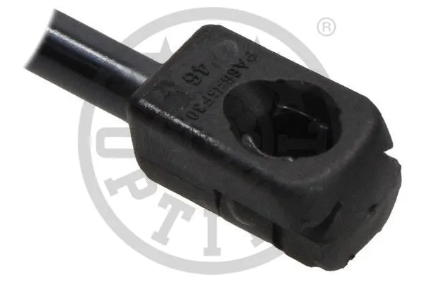 Gas Spring, boot/cargo area
