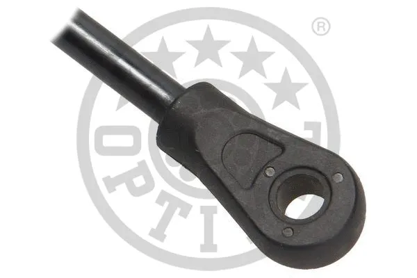 Gas Spring, boot/cargo area