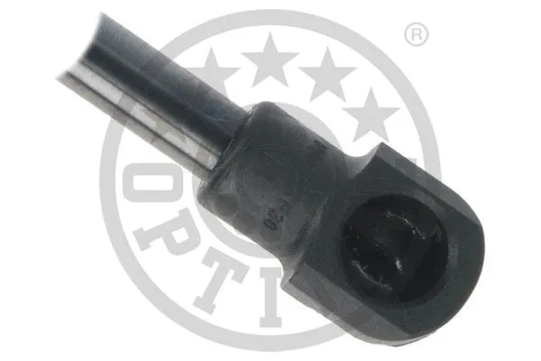 Gas Spring, boot/cargo area