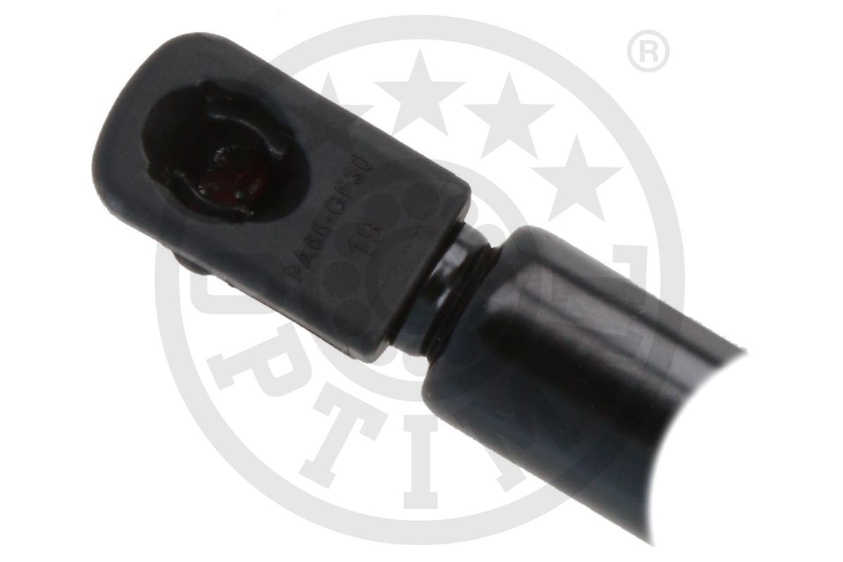 Gas Spring, boot/cargo area