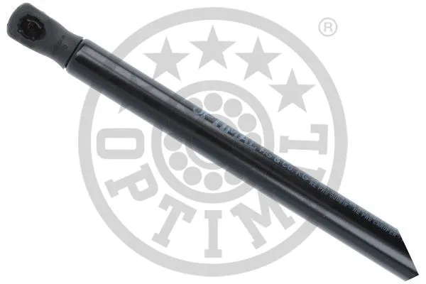 Gas Spring, boot/cargo area
