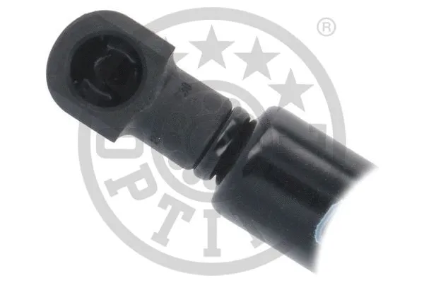 Gas Spring, boot/cargo area