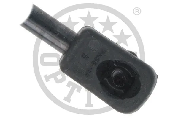 Gas Spring, boot/cargo area