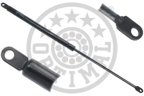 Gas Spring, boot/cargo area (AG-50558)