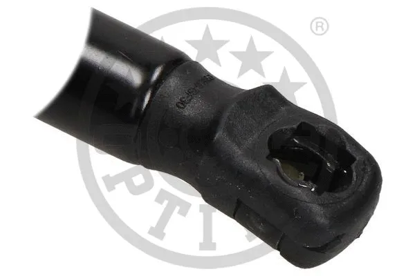 Gas Spring, boot/cargo area
