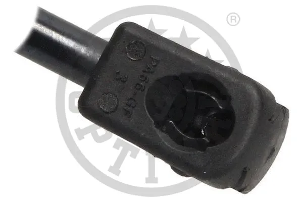 Gas Spring, boot/cargo area