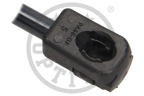 Gas Spring, boot/cargo area