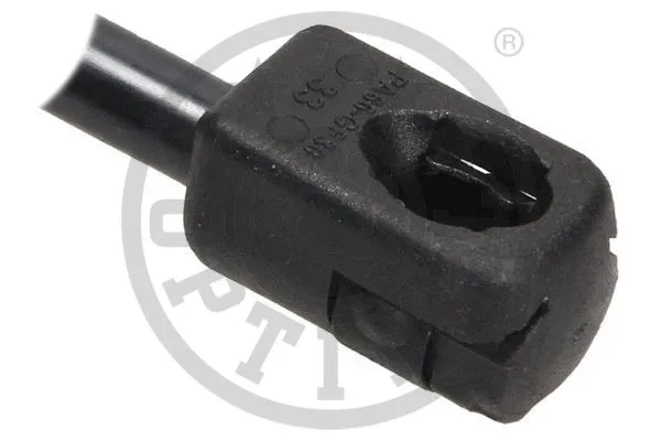 Gas Spring, boot/cargo area