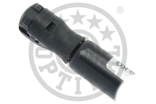 Gas Spring, boot/cargo area