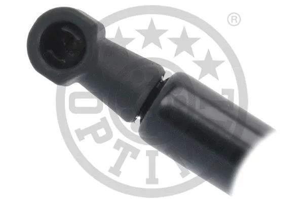Gas Spring, boot/cargo area