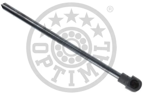 Gas Spring, boot/cargo area