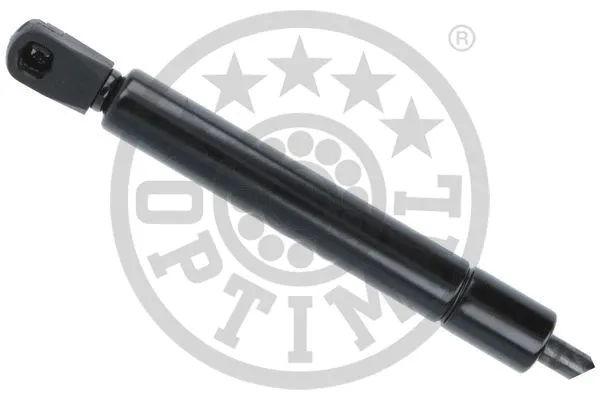 Gas Spring, boot/cargo area