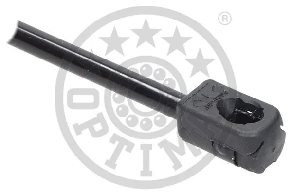 Gas Spring, boot/cargo area