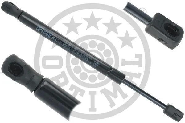 Gas Spring, boot/cargo area (AG-50449)