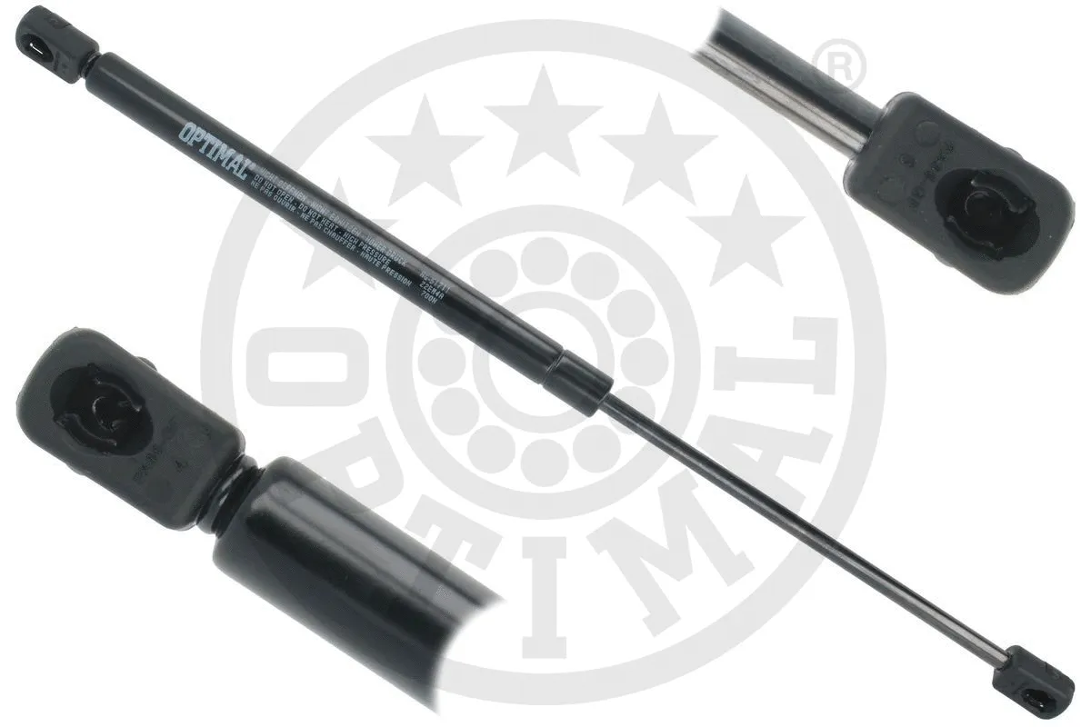 Gas Spring, boot/cargo area (AG-51711)