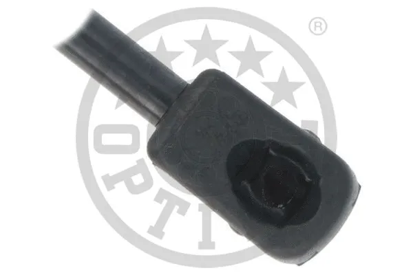 Gas Spring, boot/cargo area