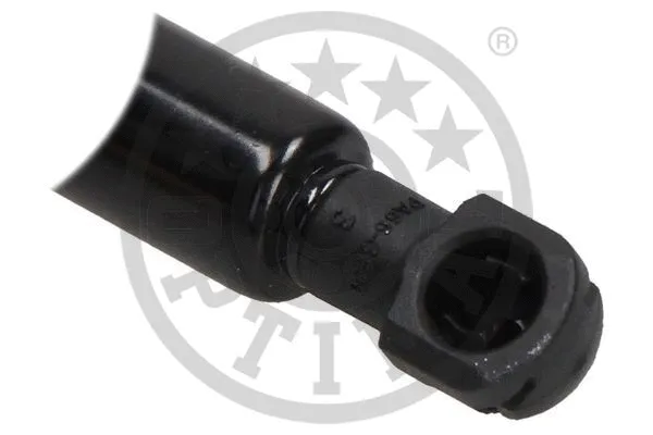 Gas Spring, boot/cargo area