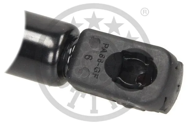 Gas Spring, boot/cargo area