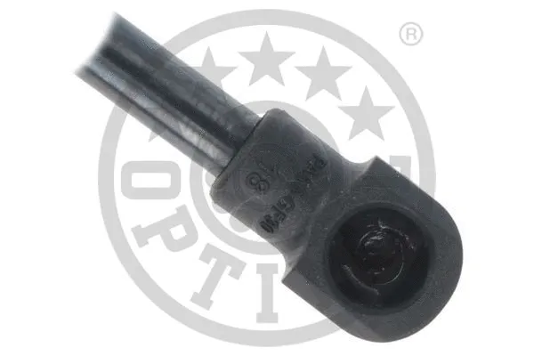 Gas Spring, boot/cargo area
