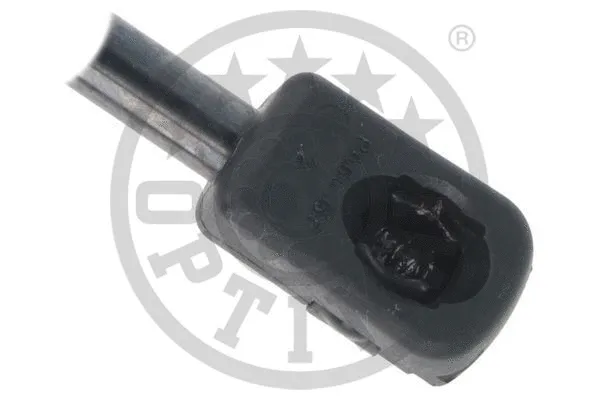 Gas Spring, boot/cargo area
