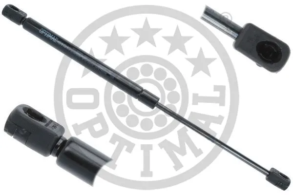 Gas Spring, boot/cargo area (AG-51386)