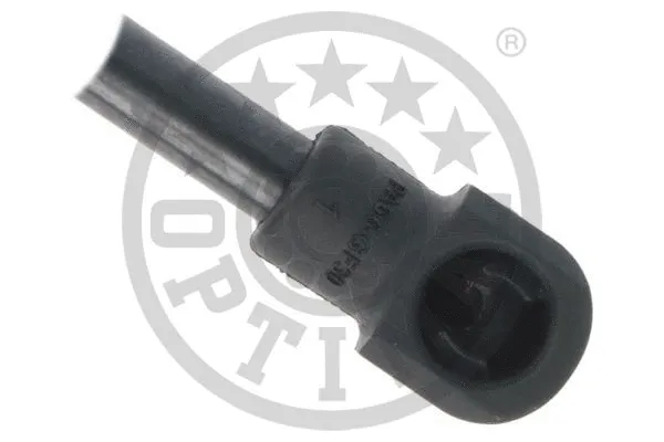 Gas Spring, boot/cargo area