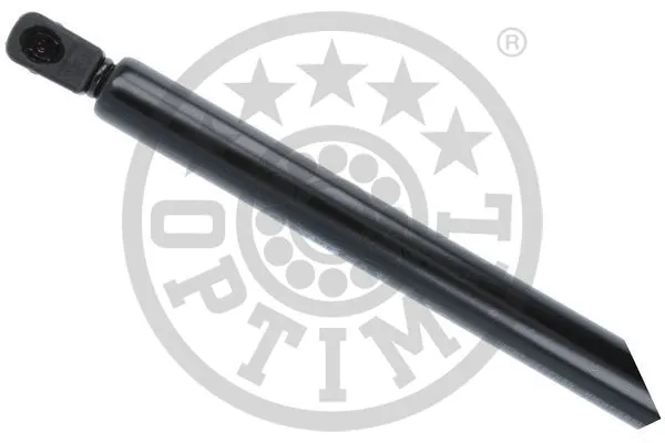 Gas Spring, boot/cargo area