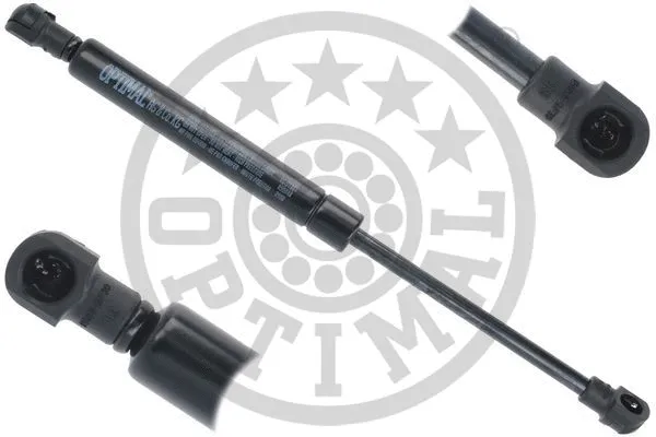 Gas Spring, boot/cargo area (AG-51364)