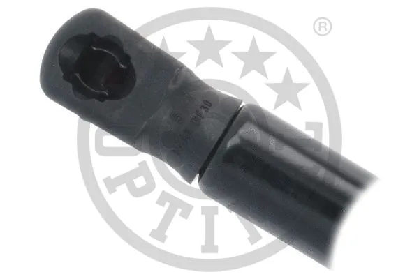 Gas Spring, boot/cargo area