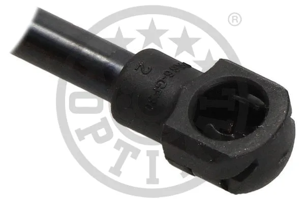 Gas Spring, boot/cargo area