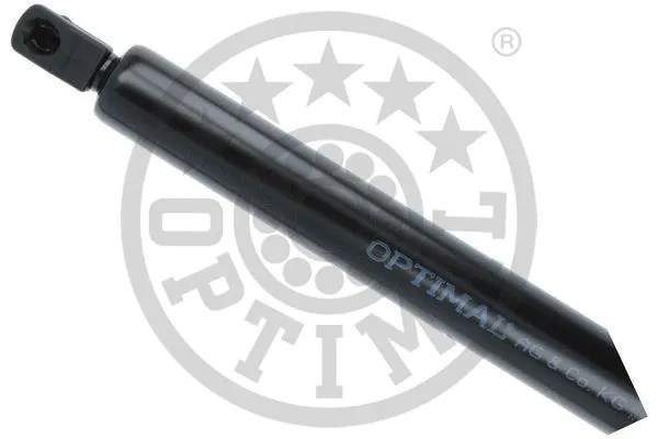 Gas Spring, boot/cargo area