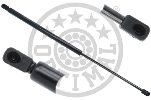 Gas Spring, boot/cargo area (AG-51476)