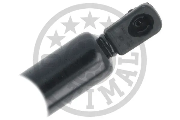 Gas Spring, boot/cargo area