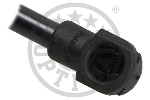 Gas Spring, boot/cargo area