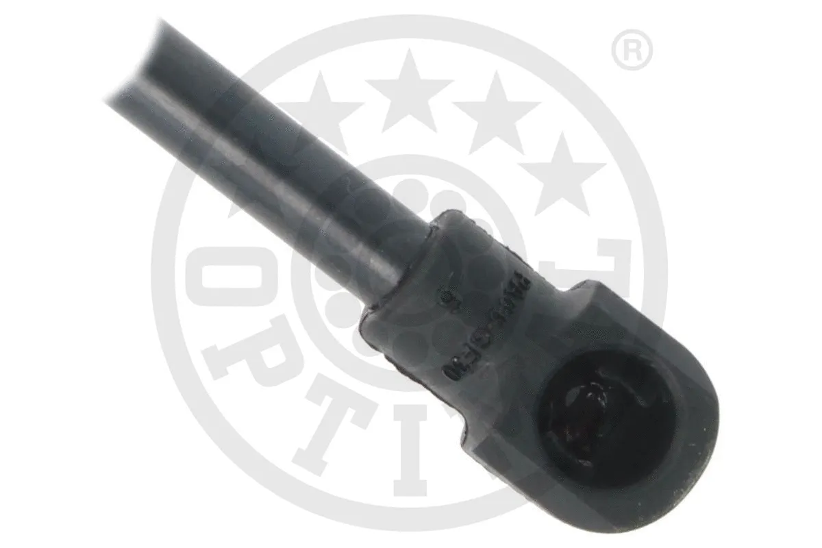 Gas Spring, boot/cargo area