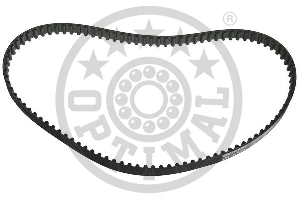 Timing Belt (R-1244)
