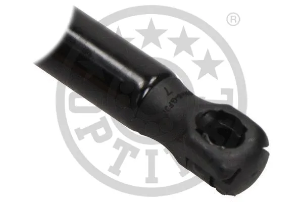 Gas Spring, boot/cargo area