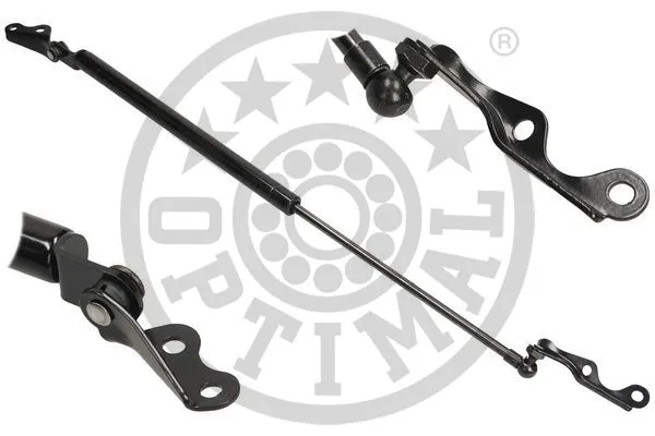 Gas Spring, boot/cargo area (AG-39994)